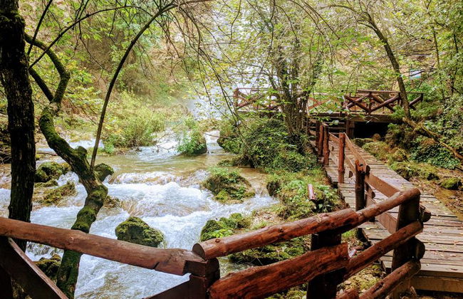 Serbia Oriental: Tour de los Monasterios Medievales y la Cueva de Resava - Foto 5